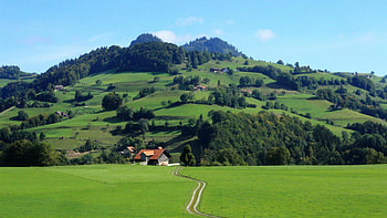 farms on a hill, farmas, fields, road, hill, mountain HD wallpaper
