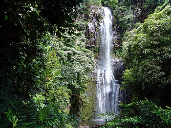 Wailua Falls, falls, trees, water, rock HD wallpaper
