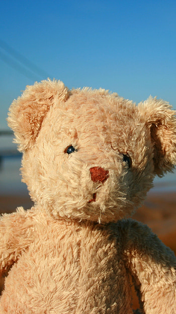 Cute Teddy Bear, Bridge, Background HD phone wallpaper
