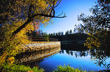 clear reflections, graphy, trees, nature, water, lake, beauty HD wallpaper