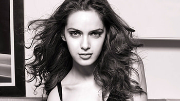 Shazahn Padamsee, shazahn-padamsee, indian-celebrities, girls, desi-girls HD wallpaper