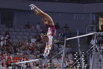 Ragan Smith, Uneven Bars HD wallpaper