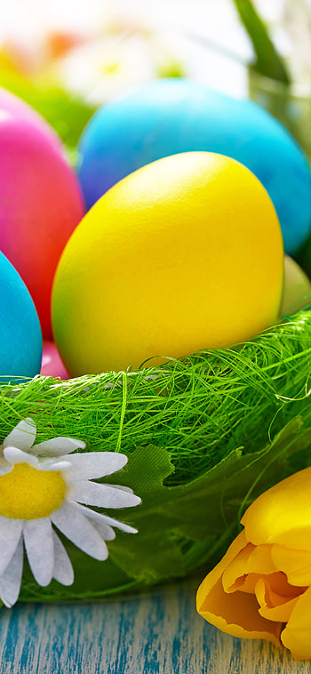 Easter Eggs and Flowers, tulip, flower, colorful, colors, egg, easter egg, holiday, Easter HD phone wallpaper