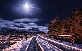 Winter Road, snow, landscape, trees, sun, mountain HD wallpaper