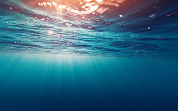 Underwater Sea, underwater, sea, nature HD wallpaper