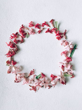 Delicate floral wreath made of red and pink flowers, arranged on a white textured surface. HD phone wallpaper