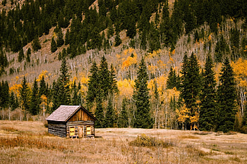 Nature, Trees, Autumn, Mountain, Structure, Elevation HD wallpaper