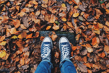 Pair of sneakers standing on colorful autumn leaves in a park, showcasing the beauty of fall. HD wallpaper
