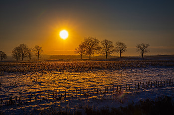 Farm Field Sun Beams , field, sunrise, sunset, nature HD wallpaper