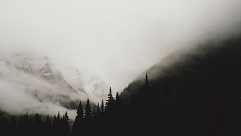 Load 140 more Grid view HD wallpaper