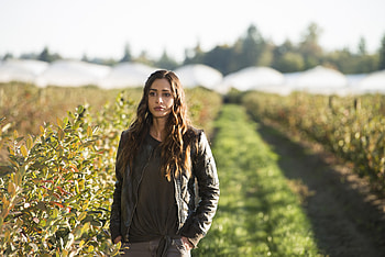 The 100 (Tv Show), Lindsey Morgan, Tv Show, The 100 HD wallpaper