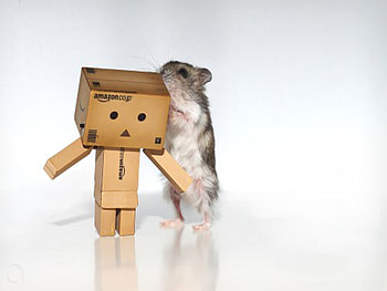 Danbo sharing secrets, danbo, cute, funny, sharing secrets HD wallpaper