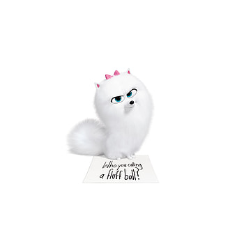 The Secret Life of Pets 2, gidget, cute dog, 2019 HD phone wallpaper