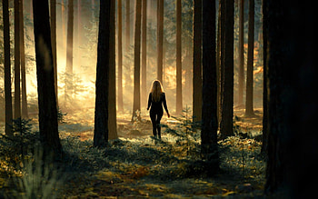 A place for thought, light, trees, forest, woman, walk HD wallpaper