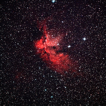 Universe, Stars, Nebula, Galaxy HD phone wallpaper