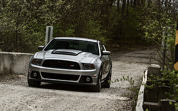 Nature, Ford, Mustang, Cars, Road HD wallpaper