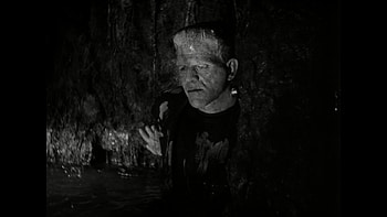 Universal Monster Universal - happy with HD wallpaper