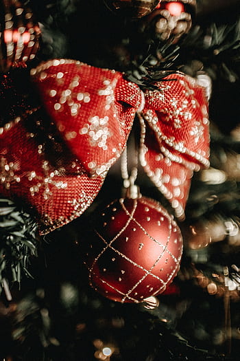 Close-up of a festive red Christmas ornament with gold accents on a decorated tree. HD phone wallpaper