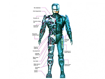 RoboCop, gun, movie, future HD wallpaper