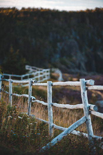 Miscellanea, Miscellaneous, Wood, Wooden, Fence, Enclosure, Fencing, Meadow, Pasture HD phone wallpaper