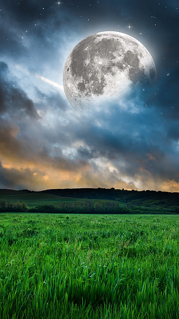 Moon, Grass Background HD phone wallpaper