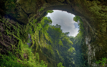 El Yunque, Jungles HD wallpaper