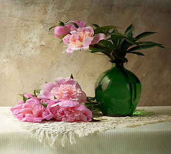 Peony pink, green vase, table, pink, peonies HD wallpaper