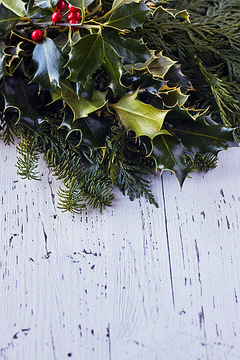 Holidays, New Year, Berries, Christmas, Branches, Needles HD phone wallpaper
