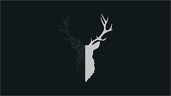 Reindeer, Deer, Geometric , Backgrounds HD wallpaper
