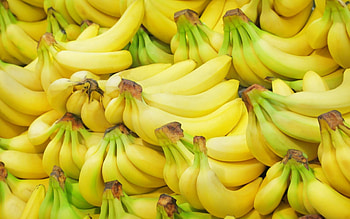 Fresh, High-quality, Banana fruits, Bunch HD wallpaper
