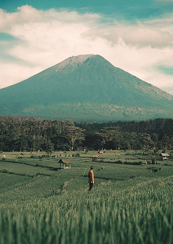 Tranquil scene of a mountain and lush fields with a lone person standing, capturing natural beauty. HD phone wallpaper