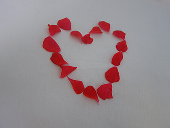 a perfect heart, rose, heart, perfect, petals HD wallpaper