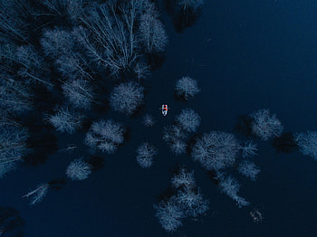 Trees, View From Above, Lake, Miscellanea, Miscellaneous, Boat HD wallpaper