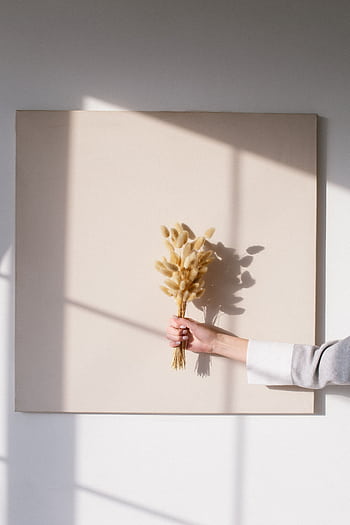 A minimalist composition featuring a hand holding dried flowers against a neutral background with sunlight and shadows. HD phone wallpaper