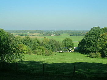 Fields, trees, nature, green HD wallpaper