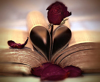 Love You forever, rose, book, petals, love, sky, heart shape HD wallpaper