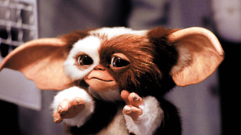 Movie database, Film information, Gremlins details, Cast and crew HD wallpaper
