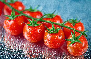 Tomato , Vibrant background, High-quality , Digital design HD wallpaper