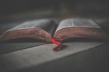 Close-up of an open religious book with a red ribbon, offering a soft, contemplative atmosphere. HD wallpaper