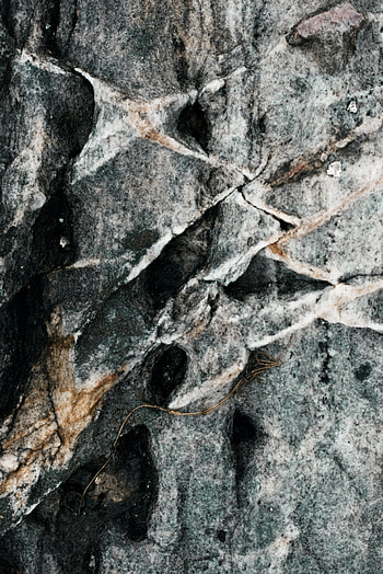 Rock, Texture, Textures, Relief, Stone, Fossil HD phone wallpaper