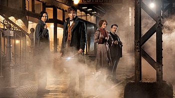 Fantastic Beasts, Eddie Redmayne, Best movies, Movies 10627 HD wallpaper
