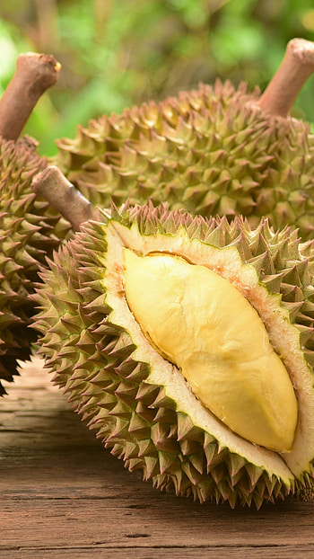 Impressive durian , Stunning backgrounds, Visual feast, Fruit showcase HD phone wallpaper