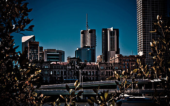 Cities, Trees, City, Building, Skyscrapers, Bridge HD wallpaper