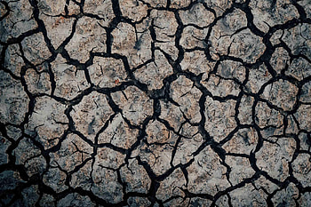 Texture, Textures, Land, Earth, Cracks, Crack, Dry Land HD wallpaper