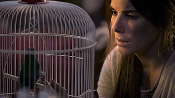 Bird Box, Plot analysis, Thought-provoking questions, Deep narrative HD wallpaper