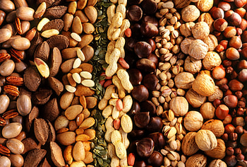 Types of nuts, Nutritional powerhouses, Crunchy and satisfying, Diverse flavors HD wallpaper