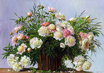 soft, peonies, abstract, painting HD wallpaper