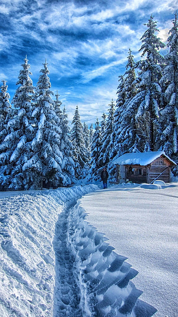 Snow, White Bluish Ice HD phone wallpaper
