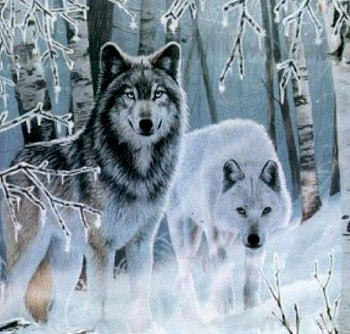 WOLVES ART, Wolves, nature, animals, Art HD wallpaper