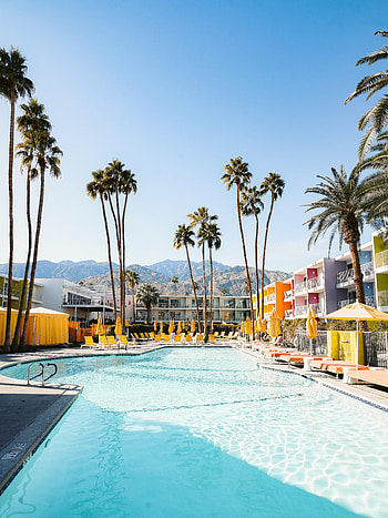 Palms, Miscellanea, Miscellaneous, Relaxation, Rest, Pool, Hotel HD phone wallpaper